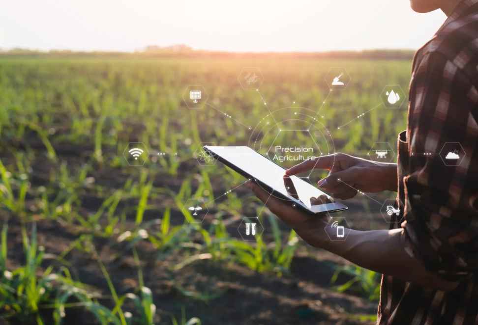 Benefits of Implementing IoT in Agriculture